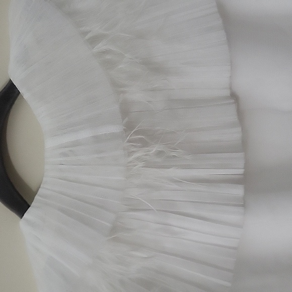 M/2 Ruffled Feathered Sheer Blouse - Picture 10 of 10